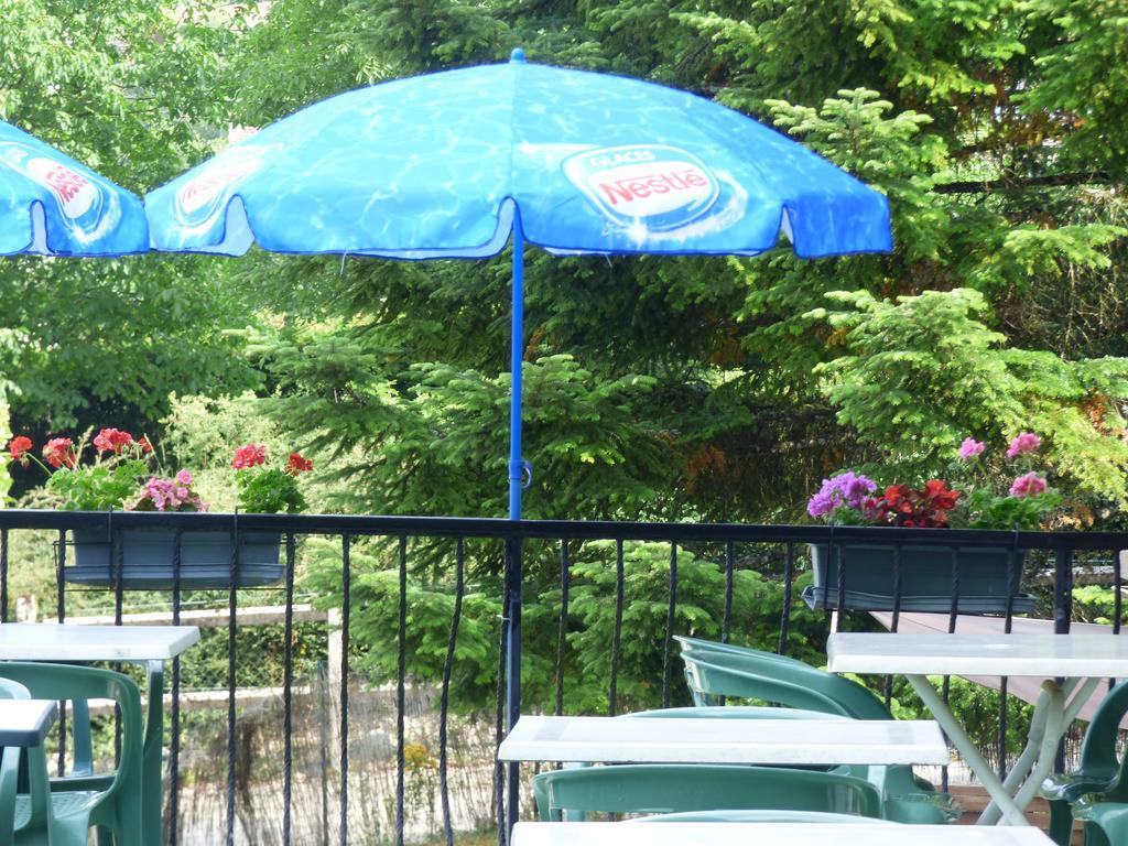 Hotel Restaurant La Chaumiere Du Lac Clairvaux-les-Lacs Εξωτερικό φωτογραφία
